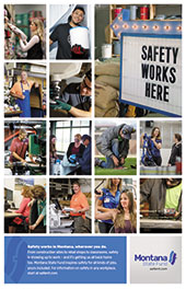 Signs of Safety Poster