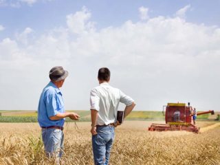 farmers inspecting field